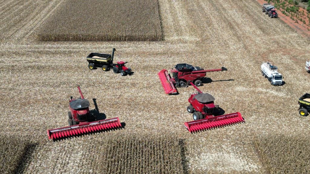 Líder nacional, Mato Grosso dá início à colheita da segunda safra nacional de milho