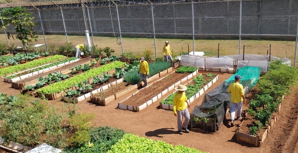 Oficinas em presídios ofertam trabalho e oportunidades de qualificação a reeducandos