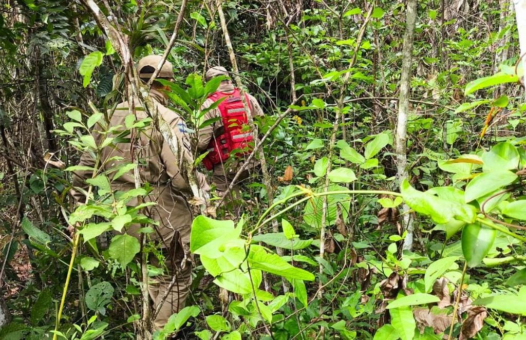 Desaparecimento de bebê indígena completa 10 dias; bombeiros sobrevoam mata