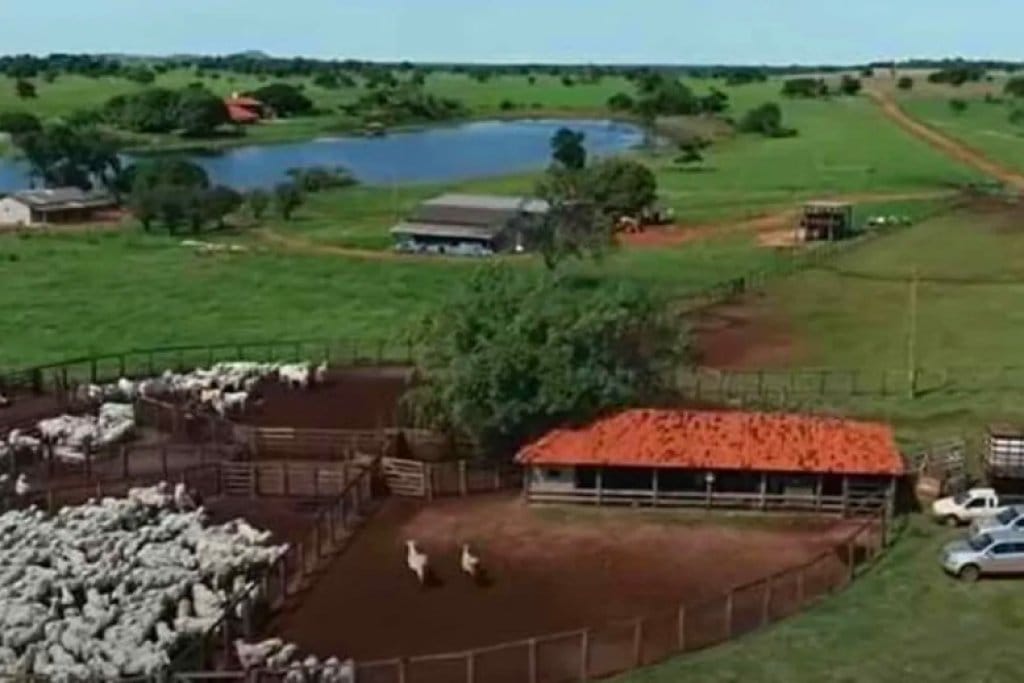 Cantor Amado Batista vende fazenda em Mato Grosso por R$ 350 milhões