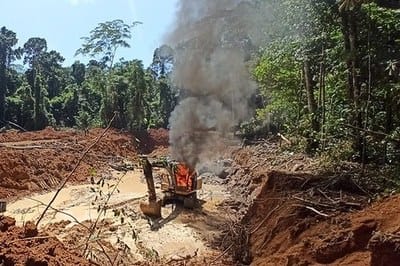 Caciques são denunciados pelo MPF por garimpo ilegal e extração de madeira em MT