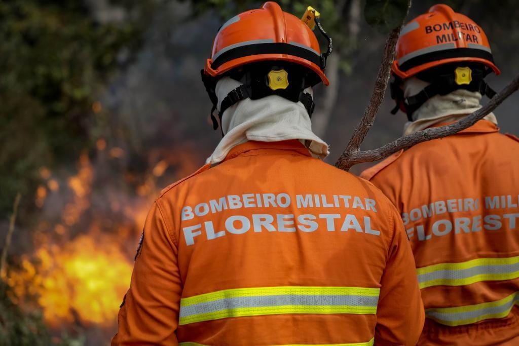Uso do fogo no Cerrado e na Amazônia está proibido a partir desta terça-feira em MT
