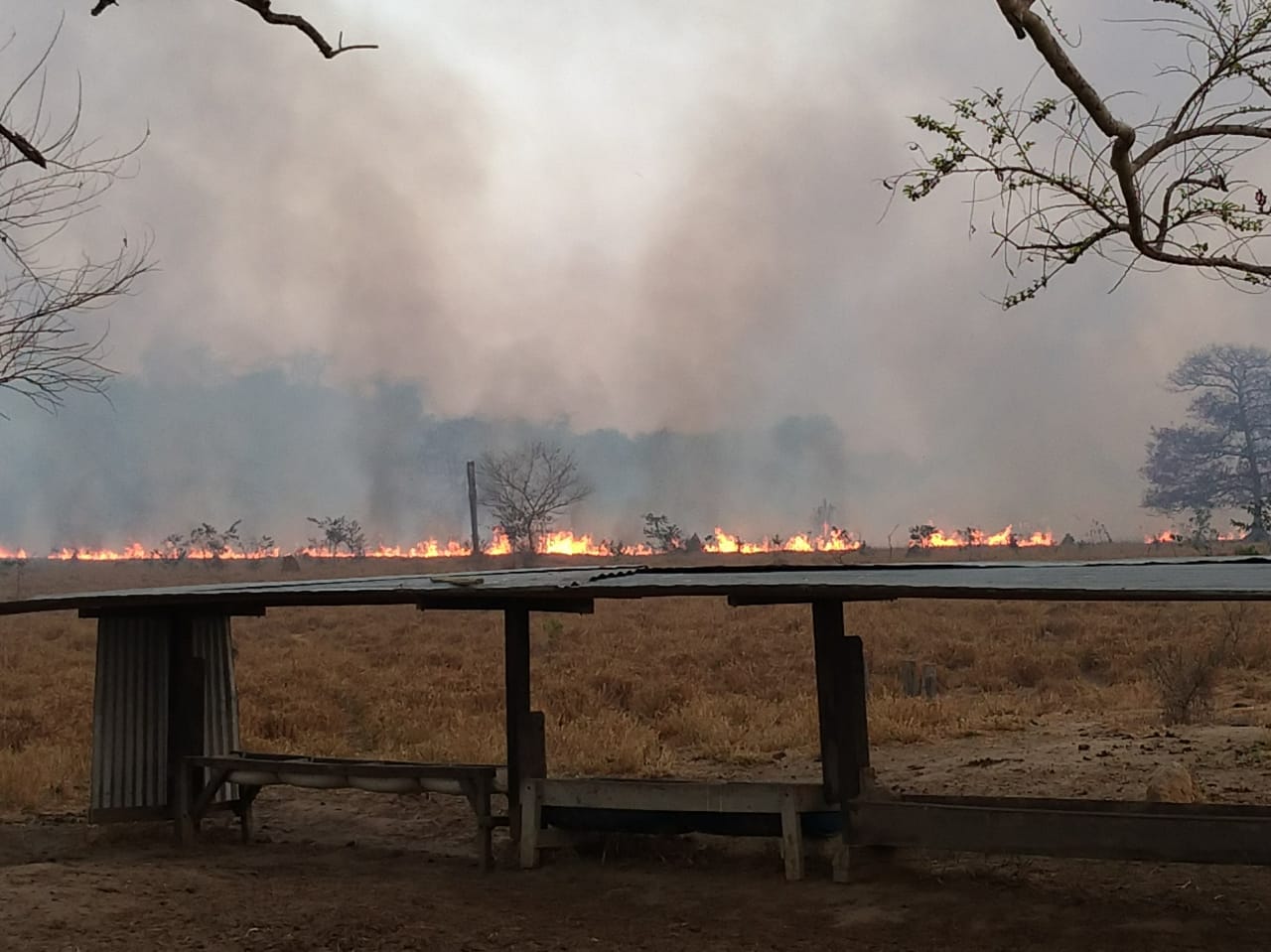 Fazendeiro é condenado a seis anos de prisão por matar vizinho após discussão sobre incêndio