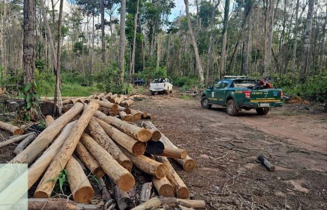 PC, Funai e Ibama deflagram operação contra desmatamento ilegal em reservas indígenas