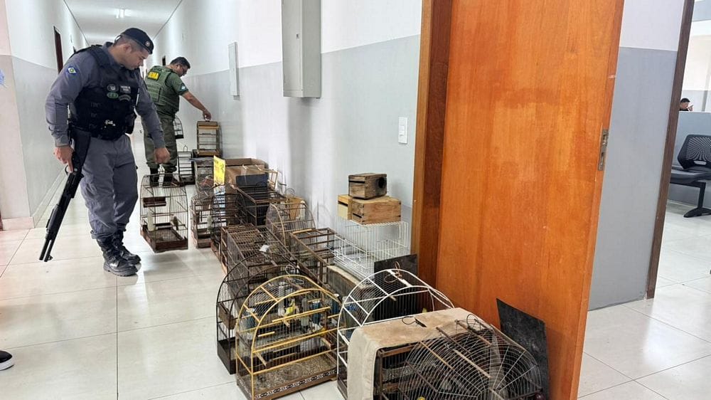 Força-tarefa cumpre mandados em Cuiabá em ação nacional de combate ao tráfico de animais