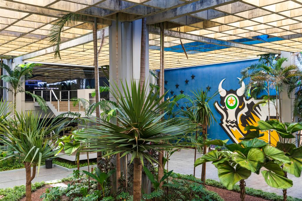 MT regulamenta decreto e empresas favoráveis à moratória da soja não terão incentivos fiscais