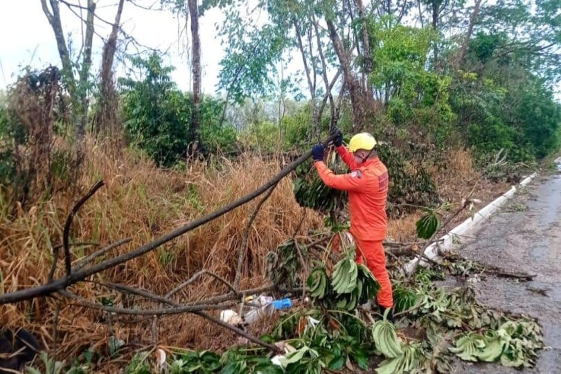Chuva com vendaval derruba árvores e postes, e causa transtornos em bairros de Cuiabá