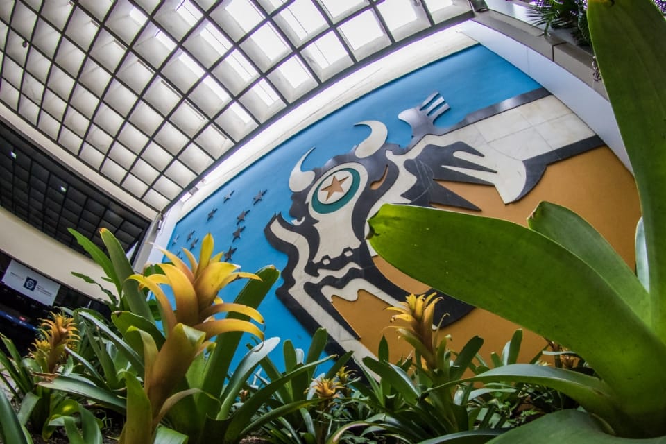 Média salarial dos servidores estaduais de Mato Grosso é de R$ 10,7 mil em 2025, diz governo