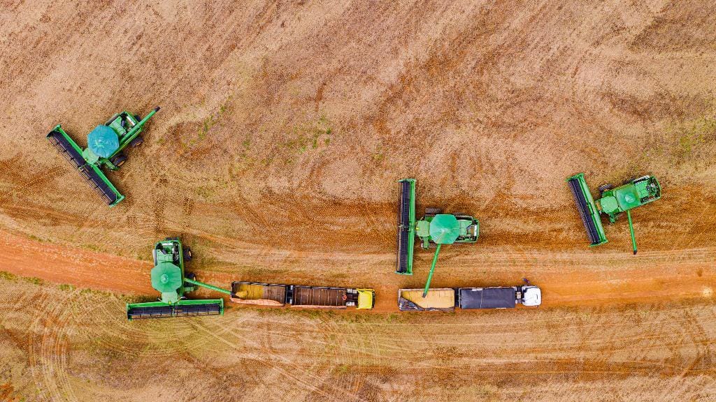 Mato Grosso define regras e limite para incentivo fiscal à soja a granel em 2026