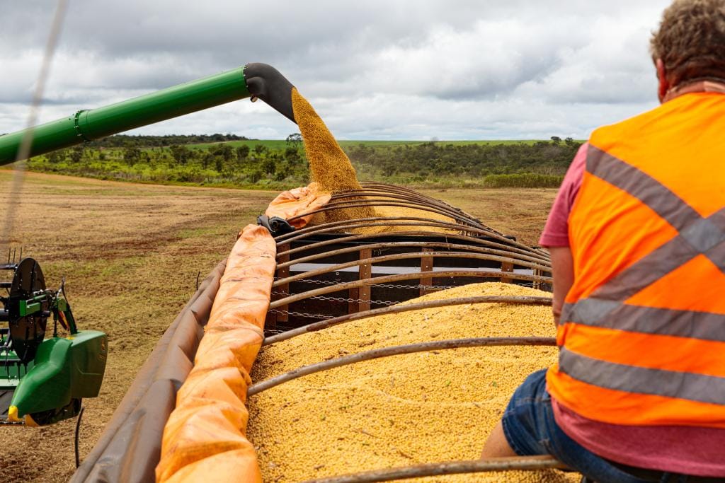 Mato Grosso fecha 2025 como o 4º maior exportador brasileiro e valores chegam a US$ 30 bilhões
