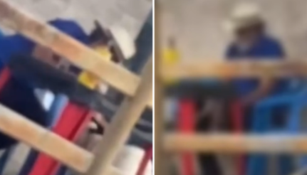 Idoso filmado abusando sexualmente de cadela em via pública é preso pela PC