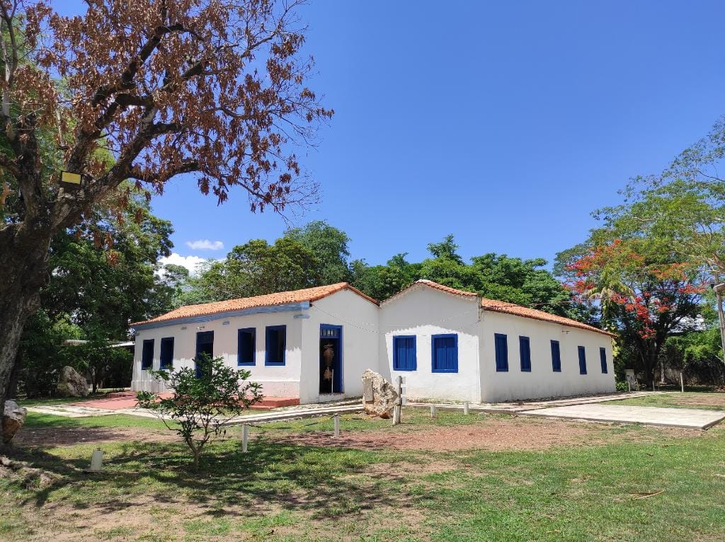 Museu de História Natural de MT reabre ao público hoje com entrada gratuita