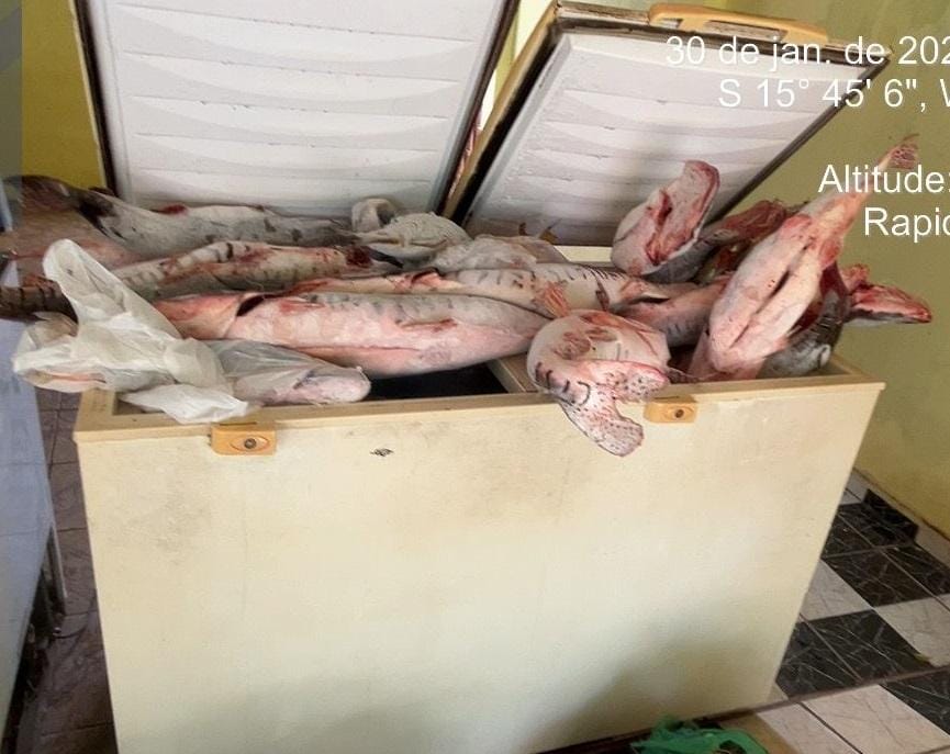 Polícia Civil mira pesca predatória e grupo criminoso em Cuiabá e Várzea Grande
