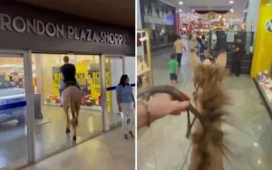 Homem que entrou em shopping com mula é indiciado por maus-tratos a animais