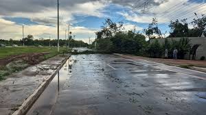 Mais de 2 mil casas ficam sem energia após queda de árvores e postes durante chuva  com vento