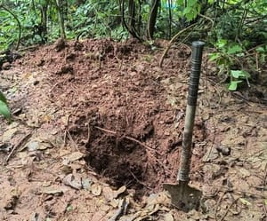 Segundo corpo encontrado em cemitério clandestino é de mulher vinda do Maranhão