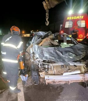 Motorista atropela cavalo na MT-170 e ambos morrem presos às ferragens