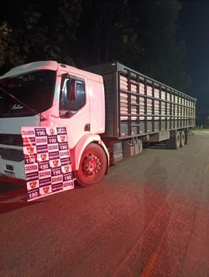 Polícia Militar recupera carga de 20 novilhas furtadas em Juscimeira