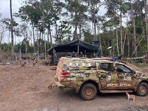 Crianças com idade entre 8 e 12 anos são resgatadas de trabalho infantil em MT e três pessoas são presas