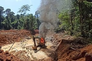 Quatro caciques são denunciados pelo MPF por garimpo ilegal e extração de madeira em MT