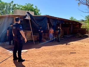 Empresários são alvos da PC por armazenamento ilegal de madeira em Mato Grosso