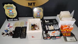 'Veterinário fake' é preso pela PC por castração clandestina de gatos em MT