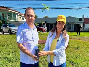 Vereadores realizam plantio de Ipê-Amarelo na região da rodoviária de Cuiabá