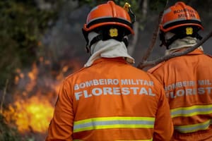 Uso do fogo no Cerrado e na Amazônia está proibido a partir desta terça-feira em MT