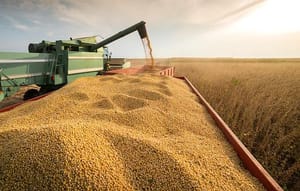 Mato Grosso puxa alta na estimativa de produção agrícola e consolida liderança nacional