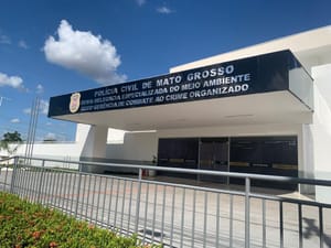 PC encontra gatos mortos em casa e prende homem por suspeita de maus-tratos