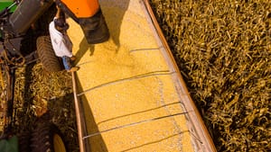1º semestre: Mato Grosso lidera saldo da balança comercial brasileira