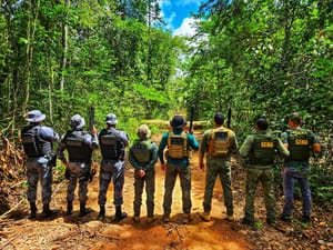 PC apreende R$ 134 milhões em carga de madeira ilegal no Pantanal e Amazônia mato-grossense