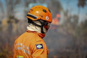 Corpo de Bombeiros combate 11 incêndios florestais nesta quinta-feira em Mato Grosso