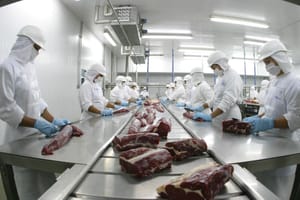 Mato Grosso exporta 368,8 mil toneladas de carne bovina para 77 países no 1° semestre
