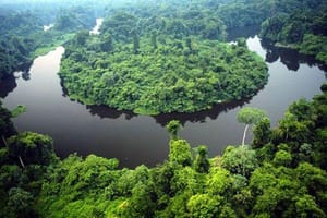 Governo de MT e O.N.E. Amazon firmam convênio de US$ 100 milhões para preservação da Amazônia