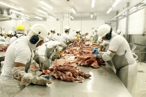 ‘Gigante da carne’ fecha acordo de R$ 5 milhões por falhas em saúde e segurança do trabalho