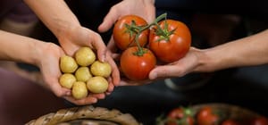 Setembro começa com cesta básica mais cara; batata e tomate puxam alta