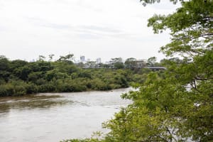 Pescadores e comércio devem declarar estoque pesqueiro até a próxima sexta-feira em MT