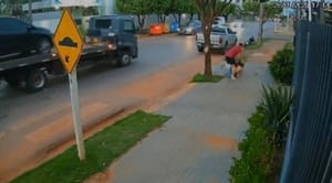 Empresário é filmado agredindo mulher em via pública de Mato Grosso; polícia investiga caso