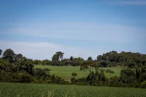 Justiça cita inconformismo e impede penhora de propriedade rural por dívida