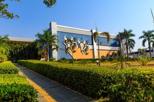 MT vai mostrar como aliar produção de alimentos e preservação ambiental