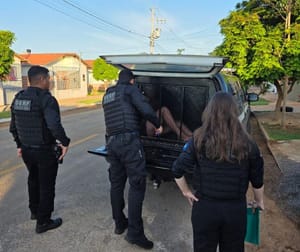 Facção que comprava fuzis no RJ e recebia ordens para crimes em MT é alvo de operação da PC