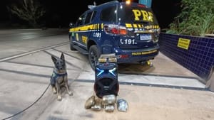 Passageira é presa pela PRF com drogas escondidas dentro de caixa de som em ônibus