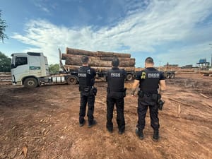 Polícia Federal deflagra operação contra desmatamento em território indígena em Mato Grosso