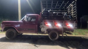 Polícia Militar prende homem e recupera gado furtado em Dom Aquino