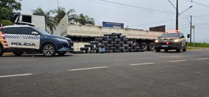 Caminhoneiro é flagrado com  806 kg de maconha escondidos em carga de bobinas em MT