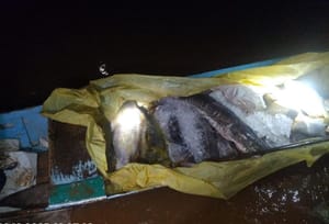 Batalhão Ambiental da PM apreende 182 quilos de pescado irregular durante fiscalização