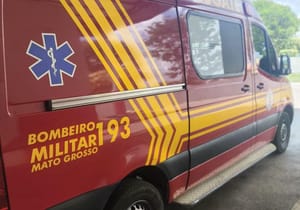 Corpo de Bombeiros socorre homem de 40 anos que foi picado por jararaca