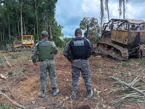 PM apreende máquinas utilizadas em extração ilegal de madeiras em zona rural