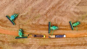 Mato Grosso define regras e limite para incentivo fiscal à soja a granel em 2026